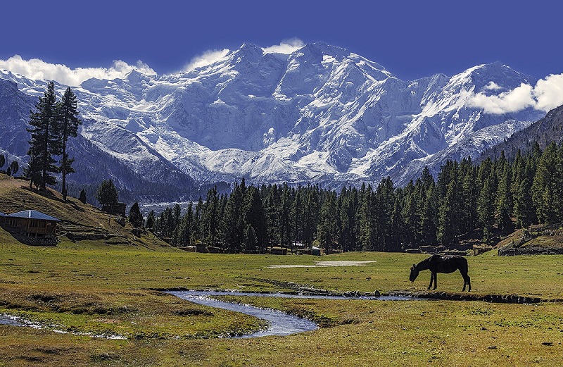 Nanga Parbat