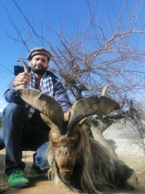 Ibex Hunting